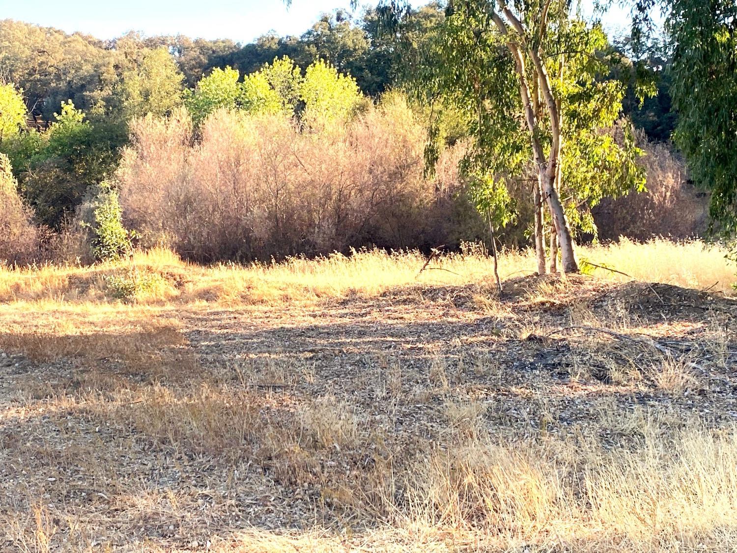 Kirby Street, Valley Springs, California image 5