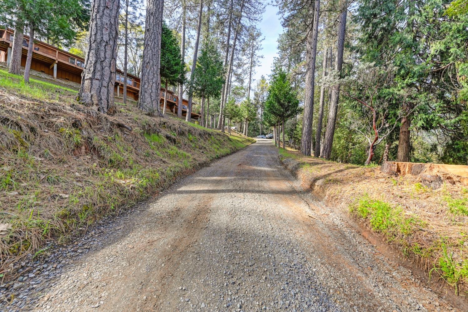 Detail Gallery Image 57 of 58 For 20550 Bellwood Ct, Foresthill,  CA 95631 - 4 Beds | 2/1 Baths