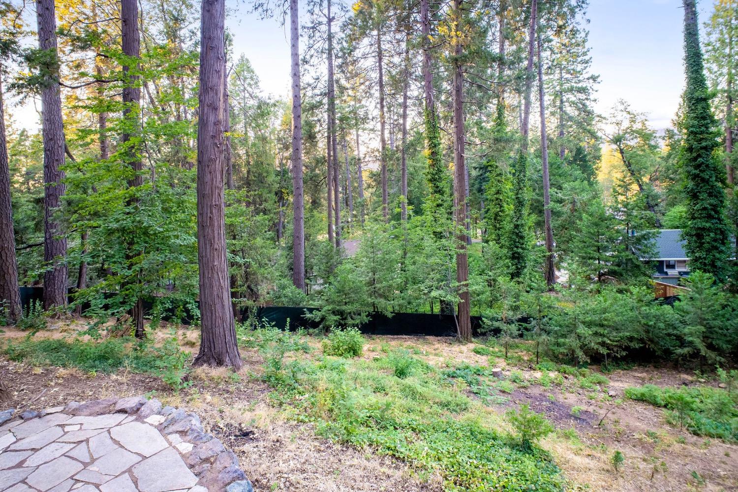 Detail Gallery Image 47 of 60 For 11422 Marjon Dr, Nevada City,  CA 95959 - 3 Beds | 2 Baths