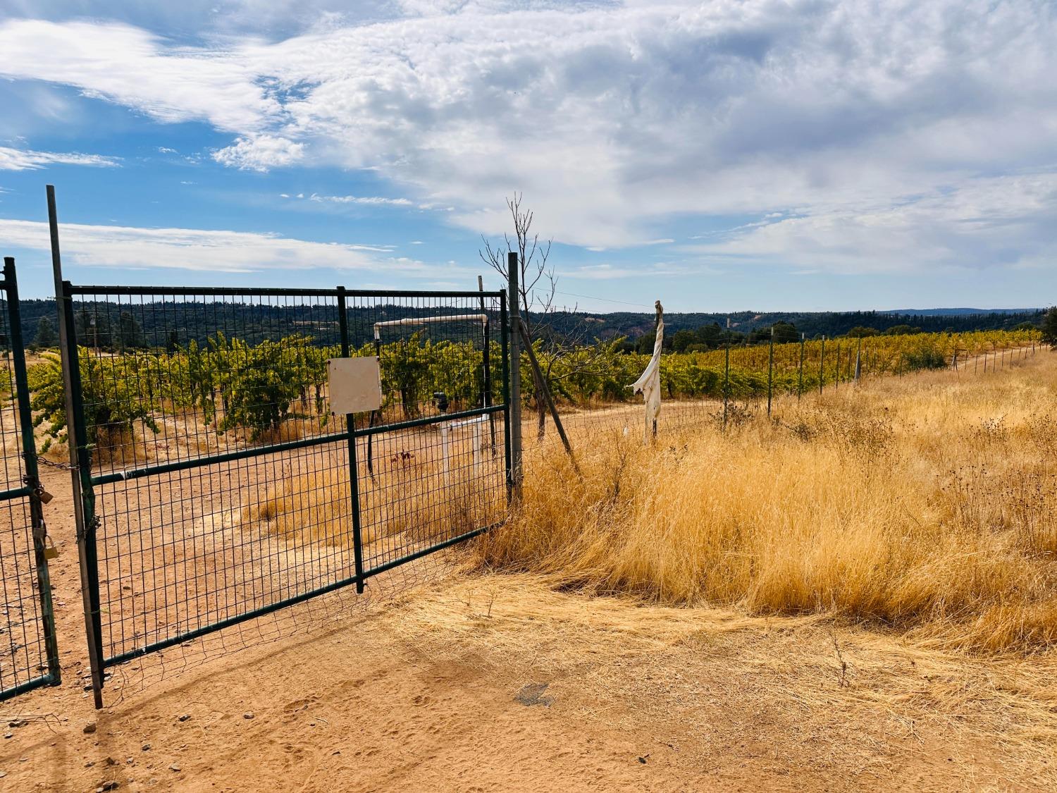 Detail Gallery Image 7 of 39 For 2101 Trail Gulch Rd, Placerville,  CA 95667 - – Beds | – Baths