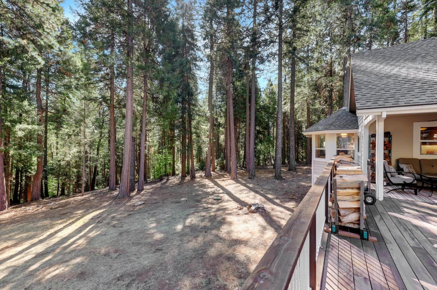 Detail Gallery Image 84 of 94 For 11555 Sky Pines Ridge Rd, Nevada City,  CA 95959 - 3 Beds | 2/2 Baths