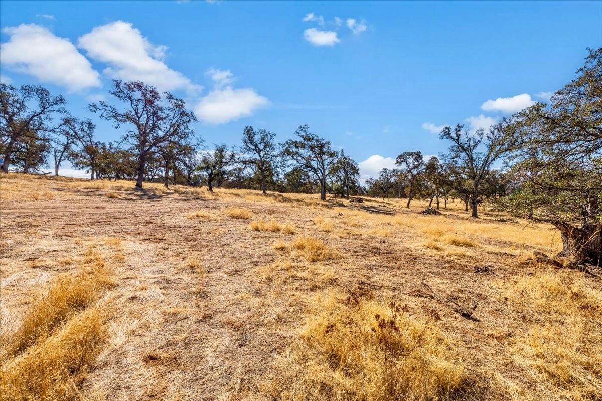 Mccourtney Road, Wheatland, California image 25