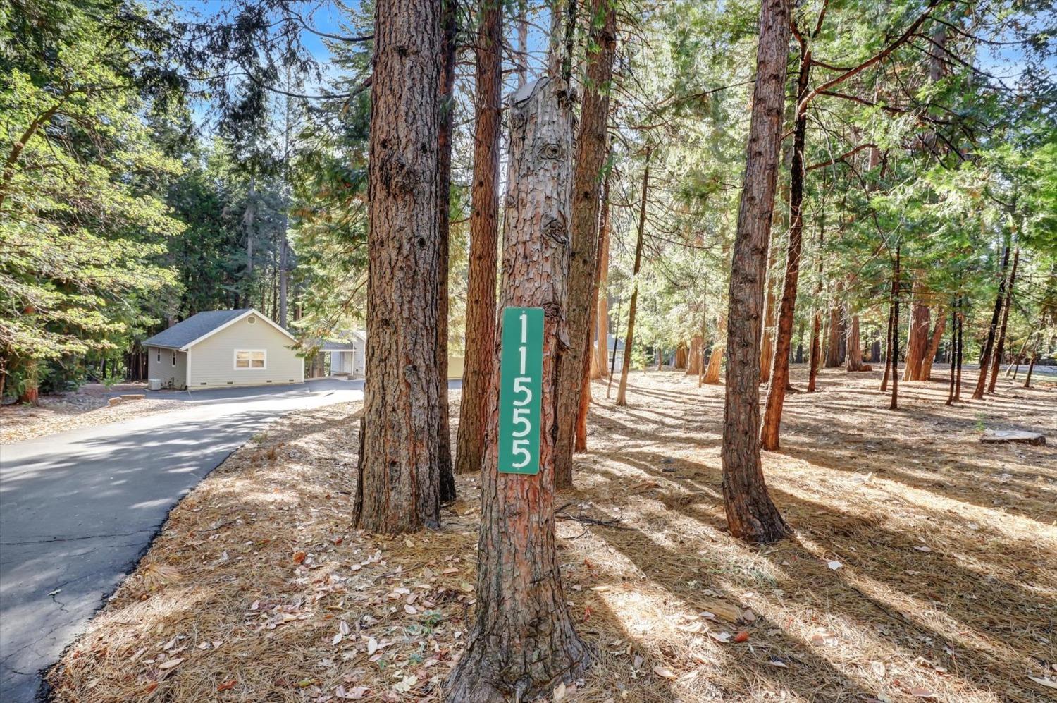 Detail Gallery Image 71 of 94 For 11555 Sky Pines Ridge Rd, Nevada City,  CA 95959 - 3 Beds | 2/2 Baths