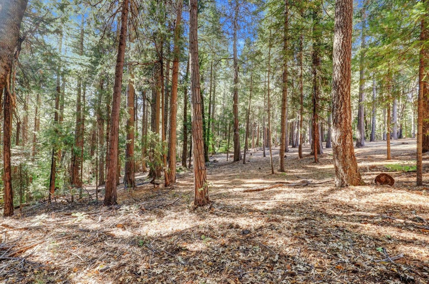 Detail Gallery Image 78 of 94 For 11555 Sky Pines Ridge Rd, Nevada City,  CA 95959 - 3 Beds | 2/2 Baths