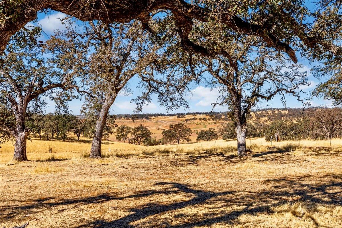 Mccourtney Road, Wheatland, California image 14