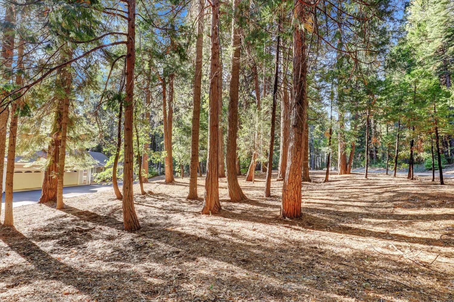 Detail Gallery Image 72 of 94 For 11555 Sky Pines Ridge Rd, Nevada City,  CA 95959 - 3 Beds | 2/2 Baths