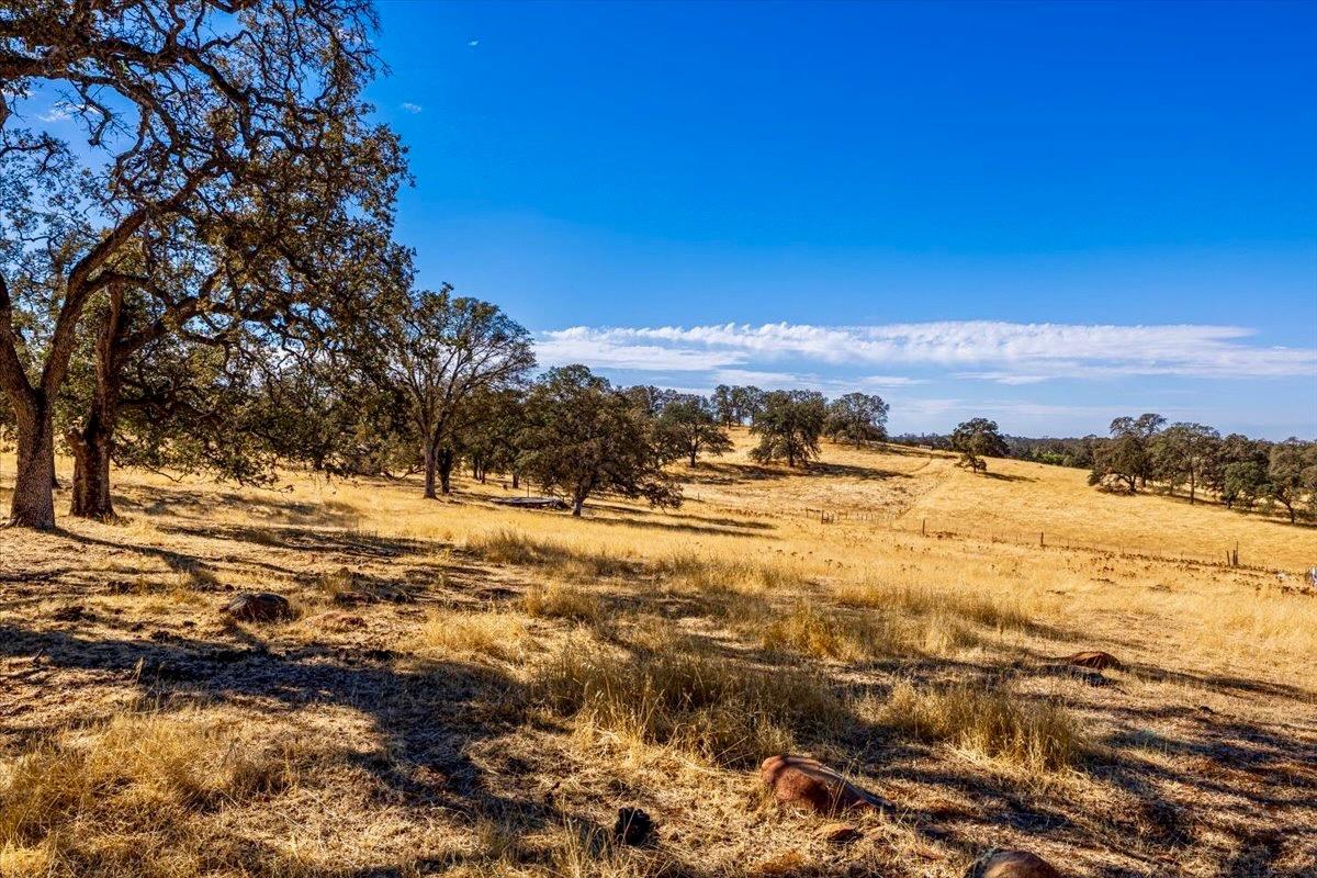 Detail Gallery Image 12 of 34 For 0 Mccourtney Rd, Wheatland,  CA 95692 - – Beds | – Baths