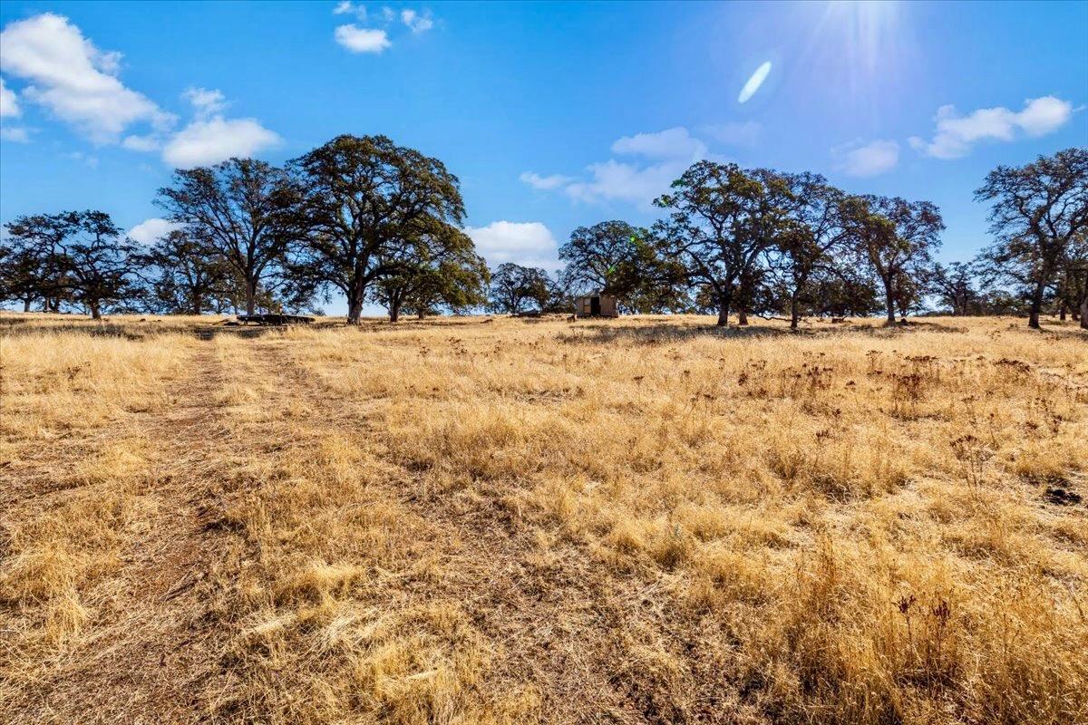 Mccourtney Road, Wheatland, California image 26