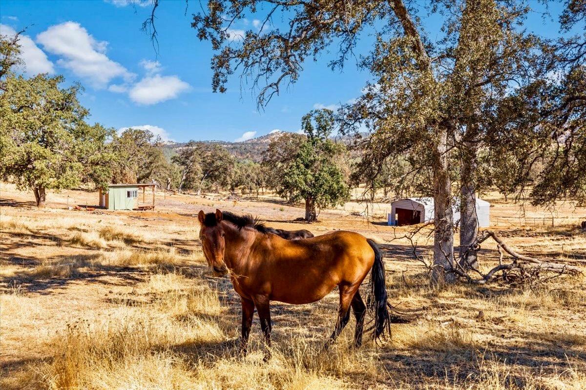 Mccourtney Road, Wheatland, California image 19