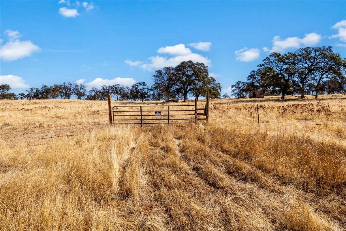 Mccourtney Road, Wheatland, California image 32