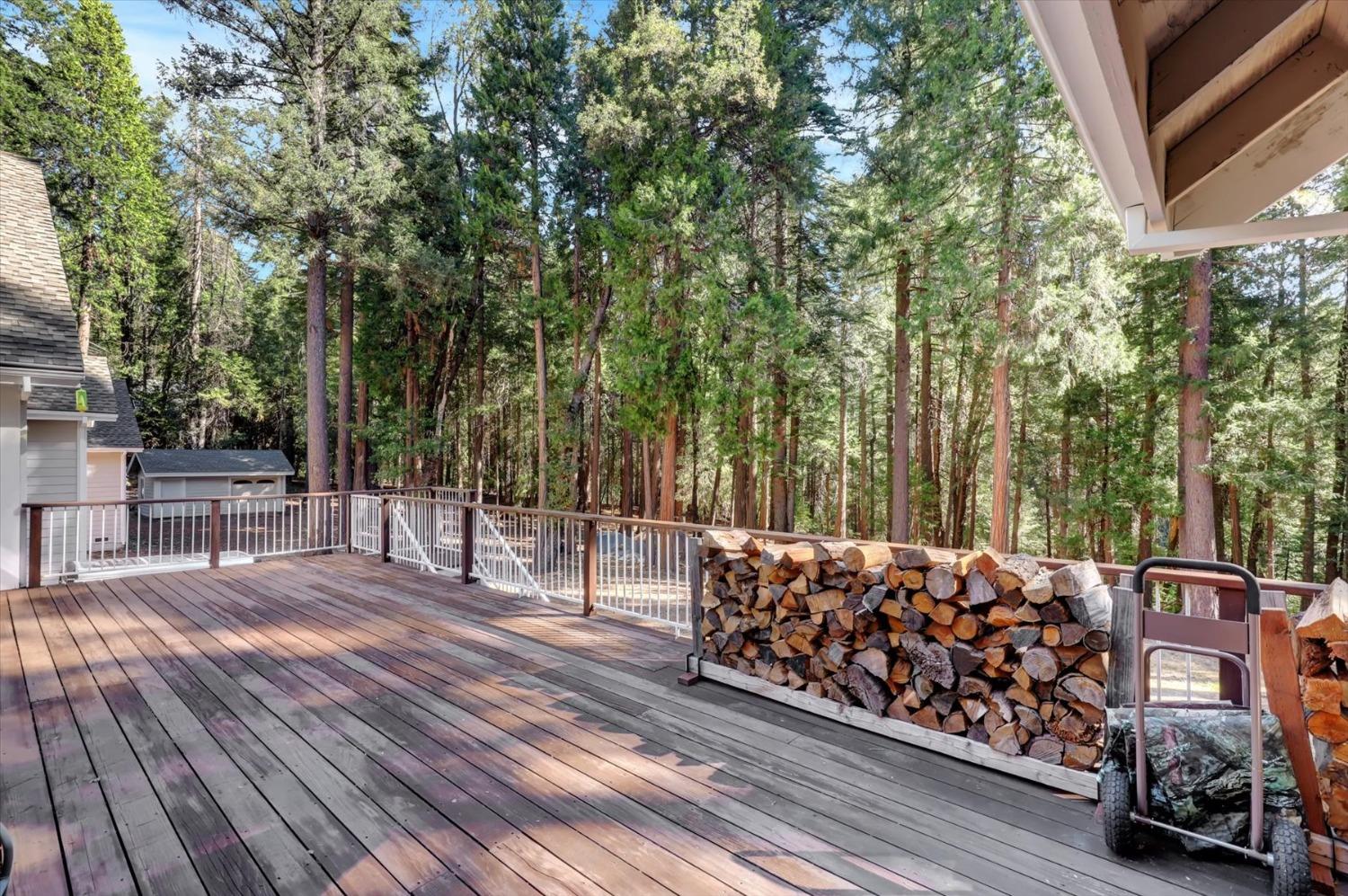 Detail Gallery Image 37 of 94 For 11555 Sky Pines Ridge Rd, Nevada City,  CA 95959 - 3 Beds | 2/2 Baths