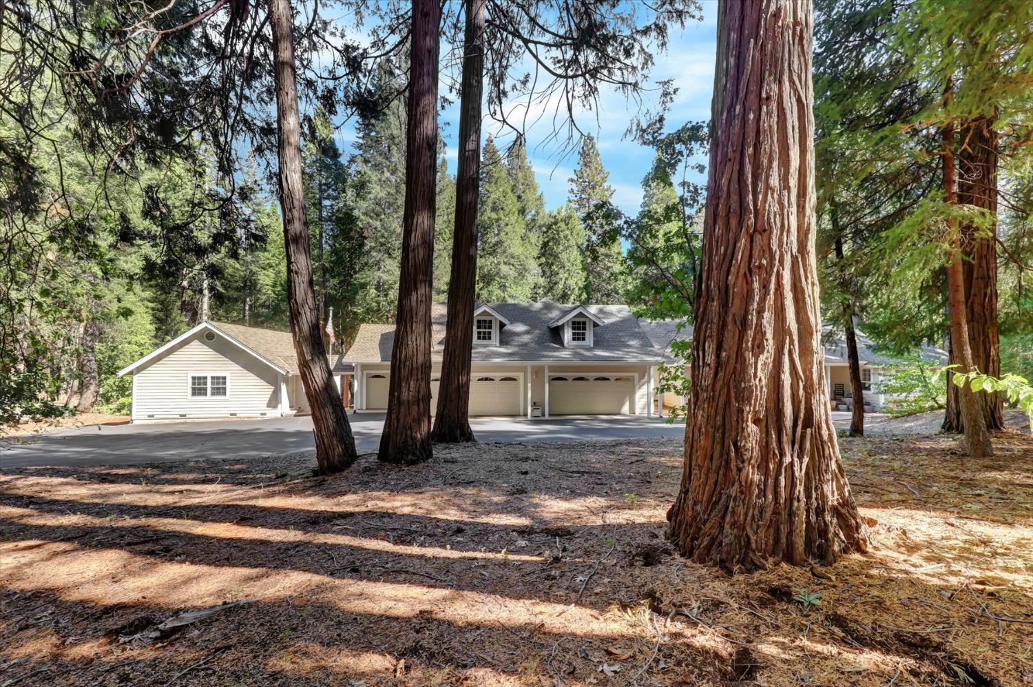 Detail Gallery Image 87 of 94 For 11555 Sky Pines Ridge Rd, Nevada City,  CA 95959 - 3 Beds | 2/2 Baths