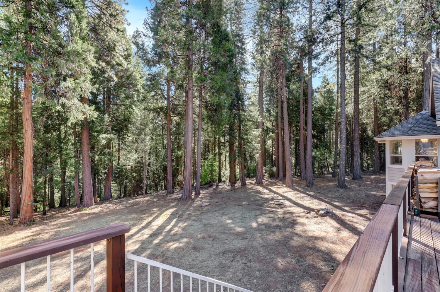 Detail Gallery Image 51 of 94 For 11555 Sky Pines Ridge Rd, Nevada City,  CA 95959 - 3 Beds | 2/2 Baths