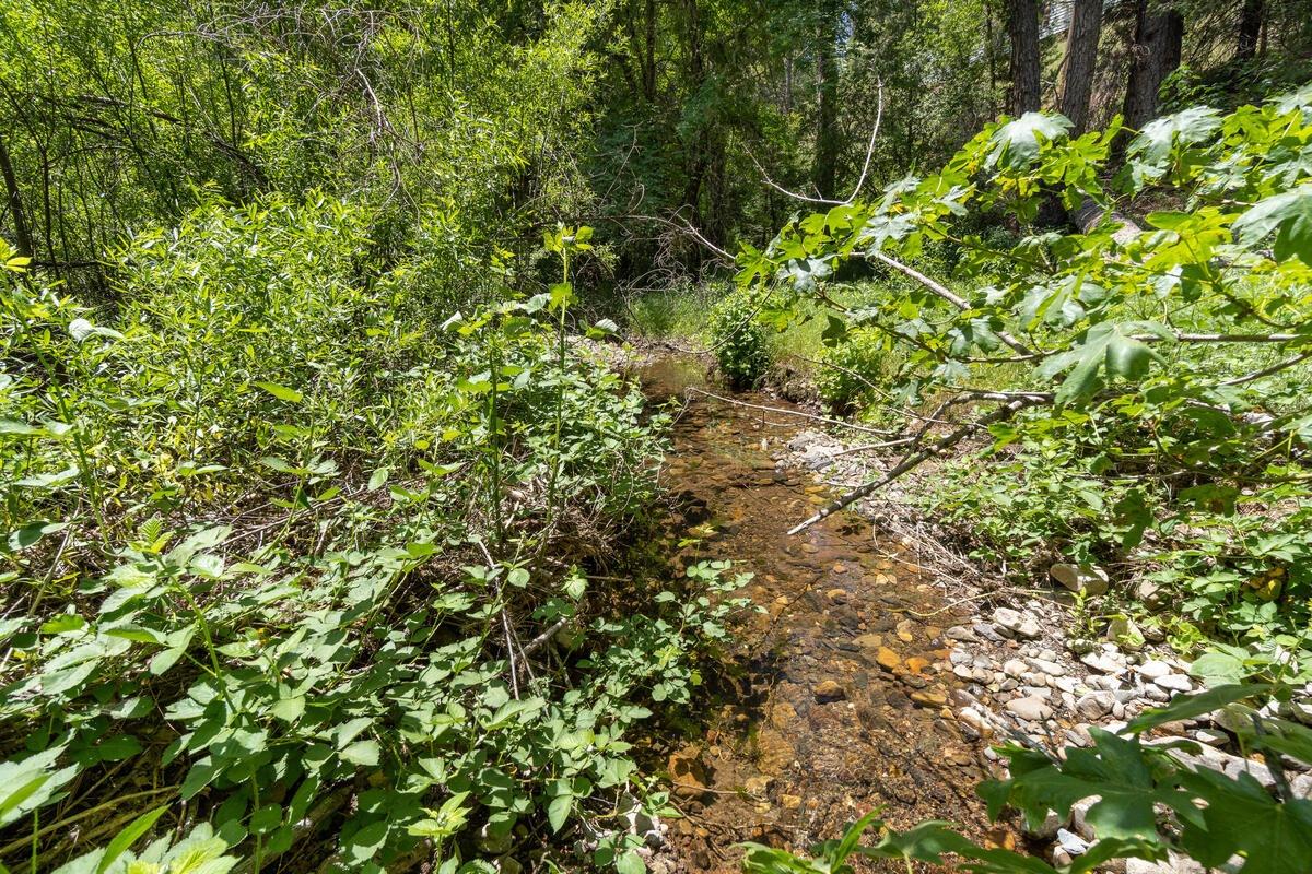 Laurel Canyon Road, Sutter Creek, California image 50