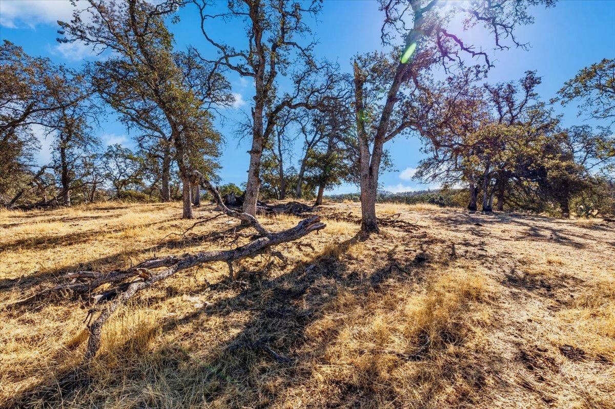 Mccourtney Road, Wheatland, California image 23