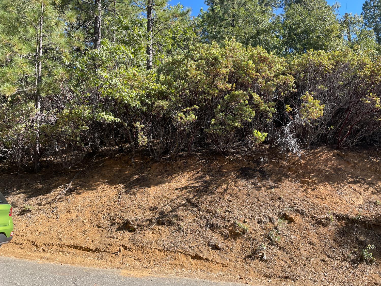 Stable Road, Sonora, California image 8