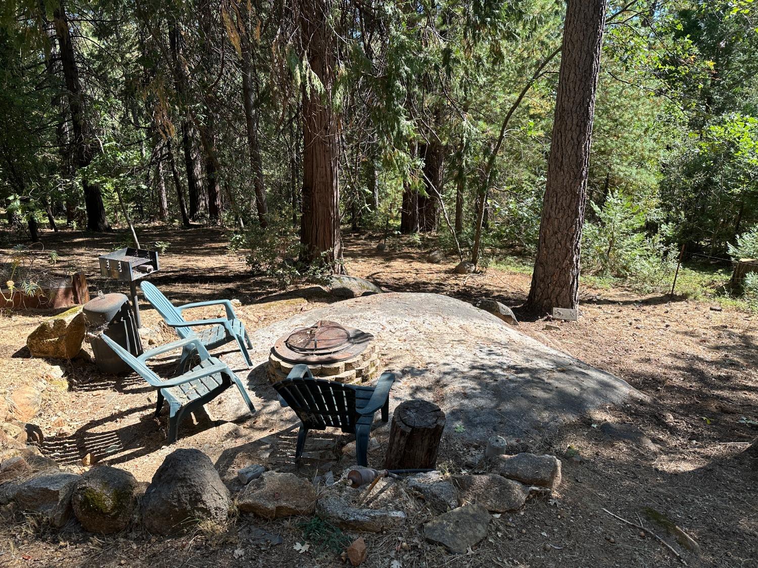 Avery Sheep Ranch Road, Avery, California image 31