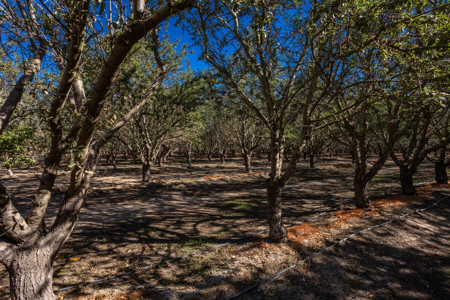 Freelove Road, Oakdale, California image 42