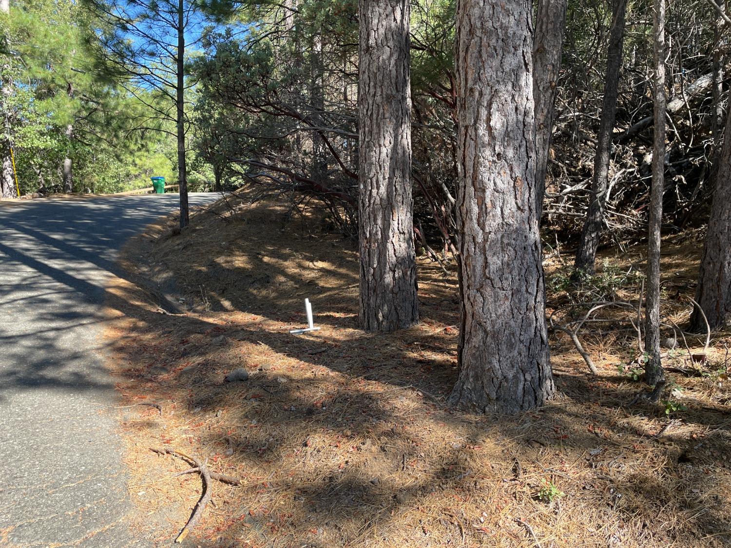 Stable Road, Sonora, California image 10