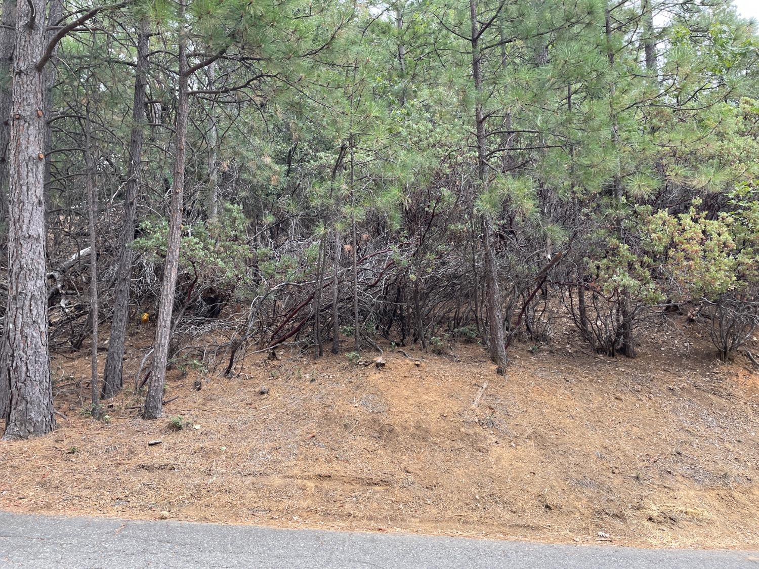 Stable Road, Sonora, California image 1