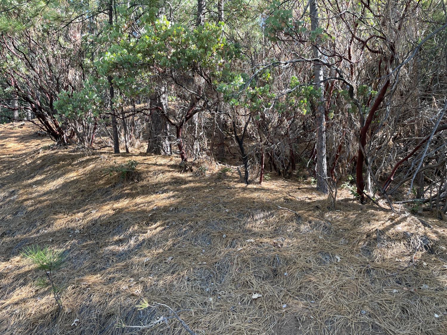 Stable Road, Sonora, California image 2