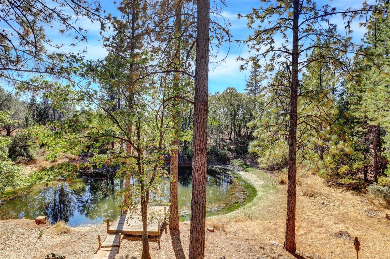 Detail Gallery Image 89 of 99 For 11722 Logans Run Ct, Grass Valley,  CA 95945 - 4 Beds | 3/1 Baths