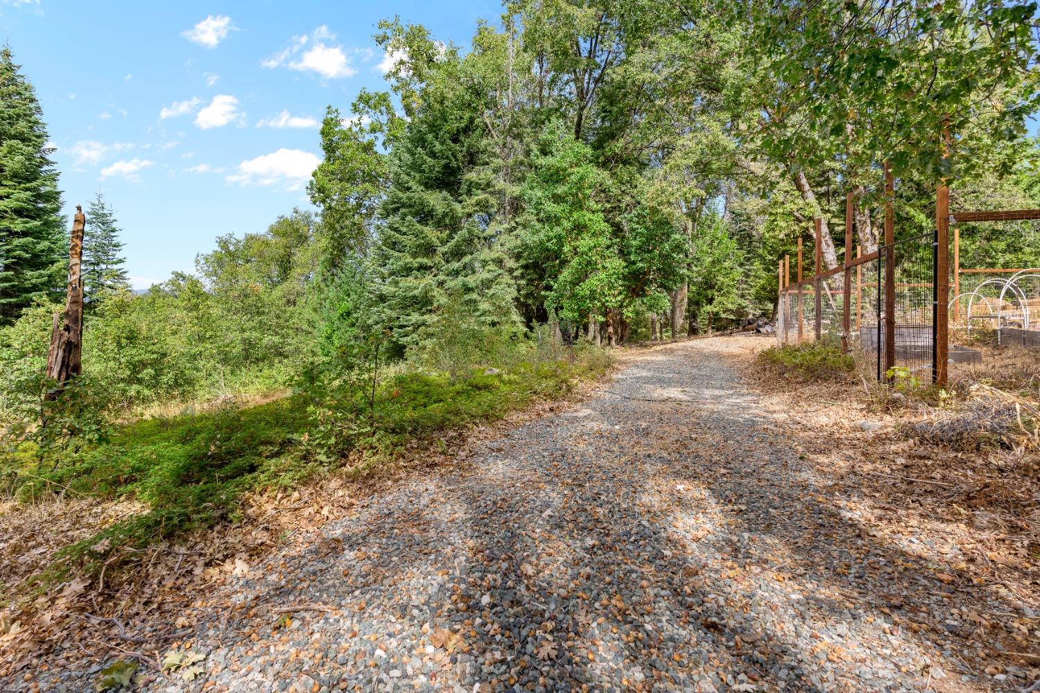 Detail Gallery Image 62 of 72 For 13610 Lightning Tree Rd, Nevada City,  CA 95959 - 2 Beds | 2 Baths