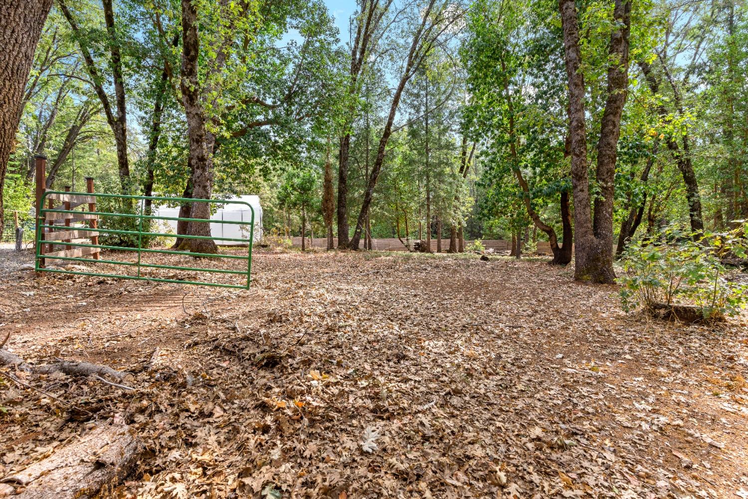 Detail Gallery Image 58 of 72 For 13610 Lightning Tree Rd, Nevada City,  CA 95959 - 2 Beds | 2 Baths