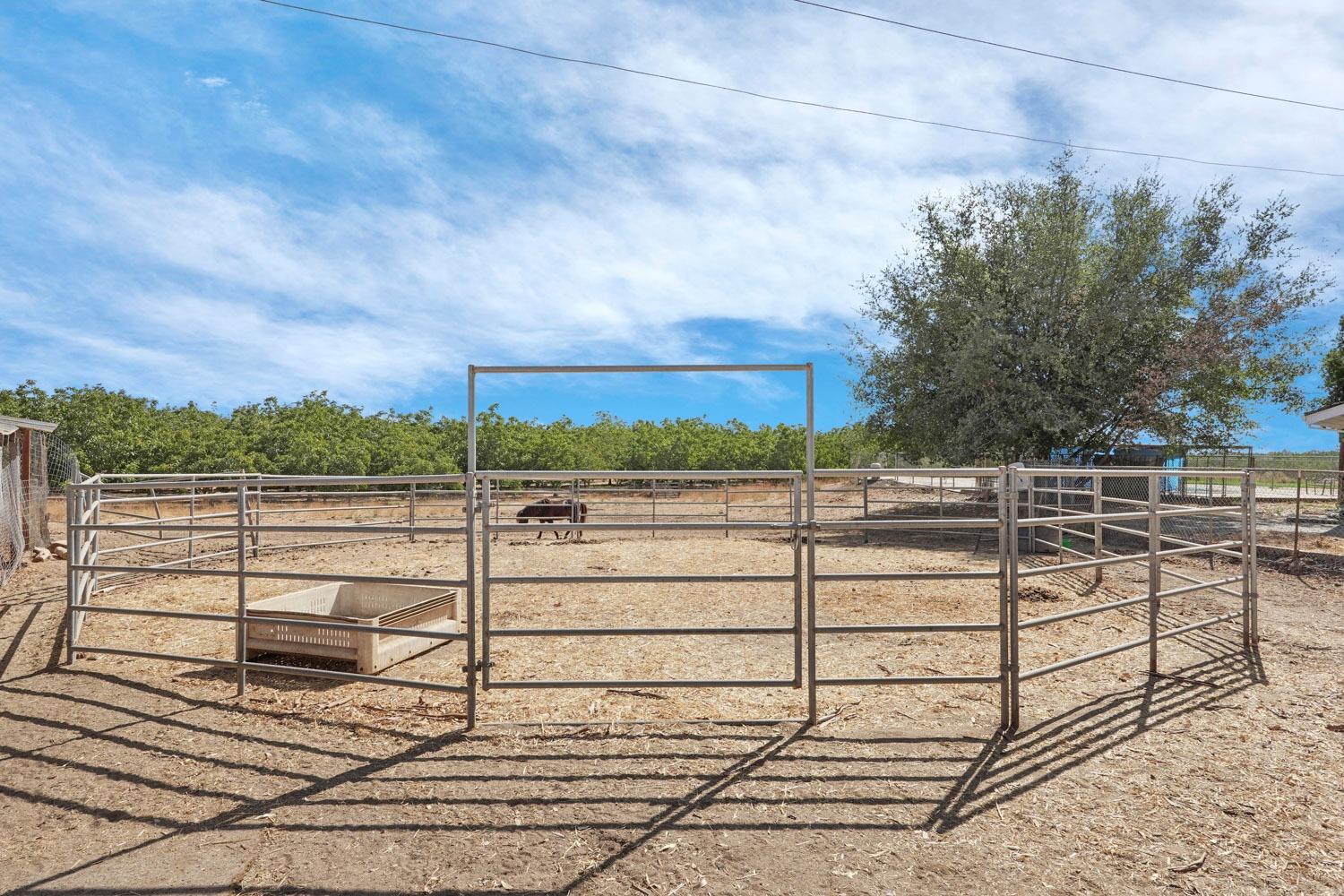 Detail Gallery Image 54 of 63 For 24950 N Mackville Rd, Clements,  CA 95227 - 4 Beds | 3 Baths