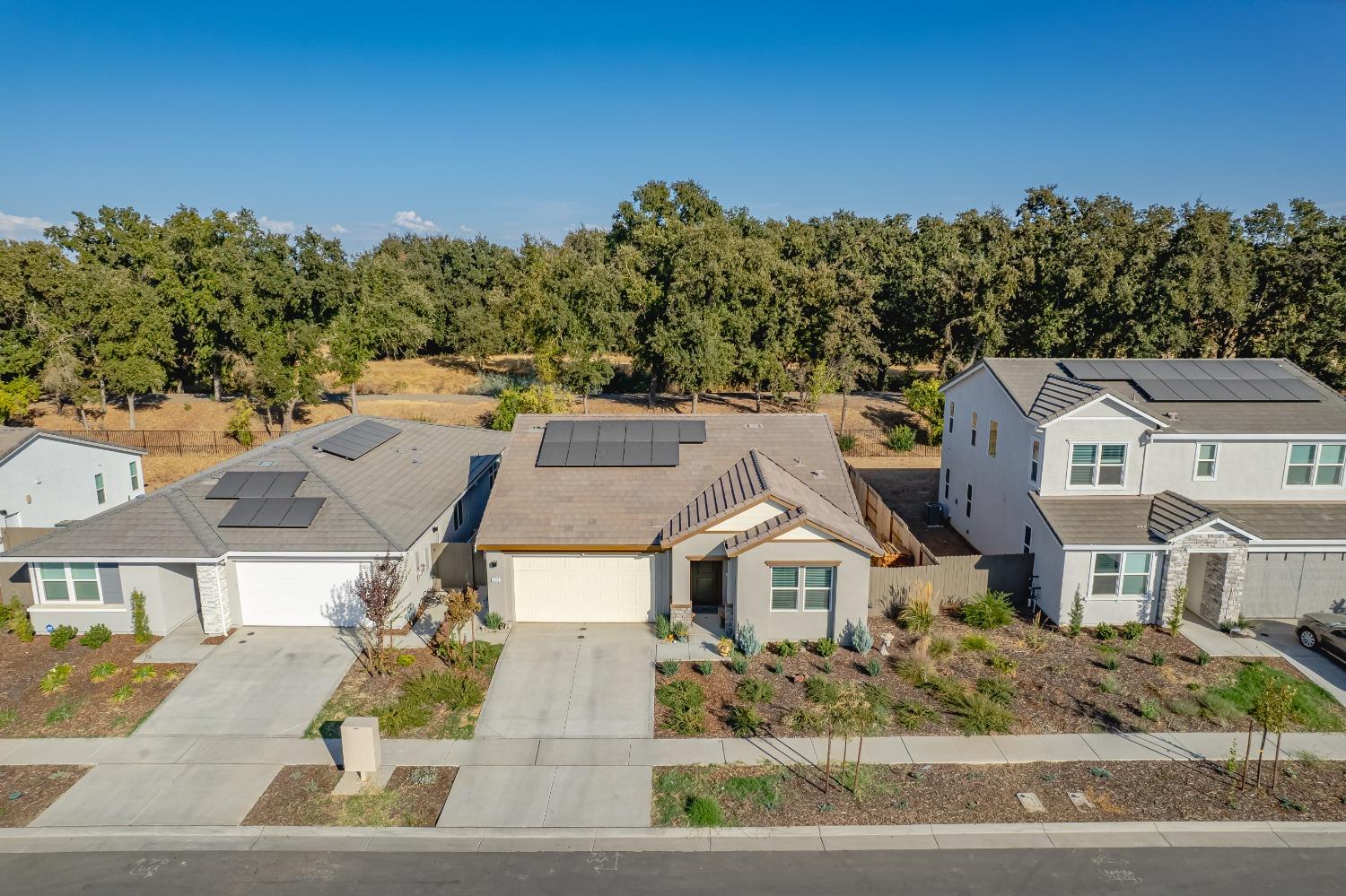 Detail Gallery Image 40 of 59 For 733 Pacific Grove Way, Plumas Lake,  CA 95961 - 3 Beds | 2 Baths