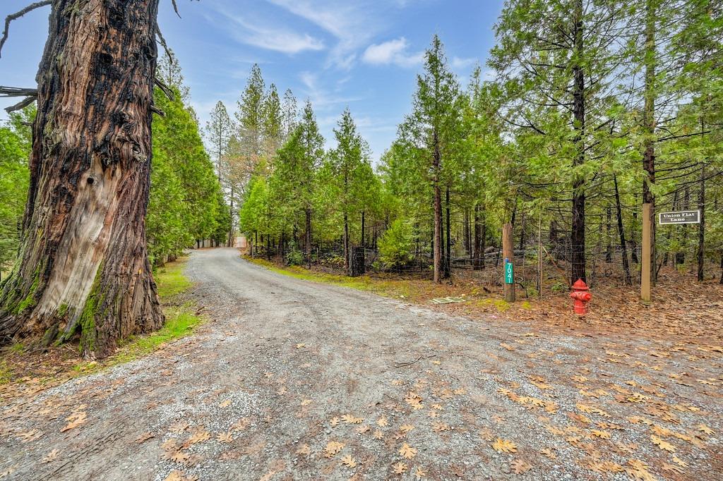 Detail Gallery Image 82 of 82 For 7041 Union Flat Ln, Garden Valley,  CA 95633 - 2 Beds | 2/1 Baths