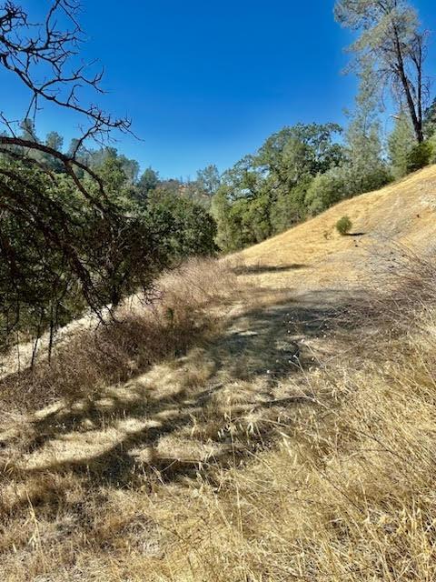 Detail Gallery Image 5 of 7 For 6883 Navajo Pt, Corning,  CA 96021 - – Beds | – Baths