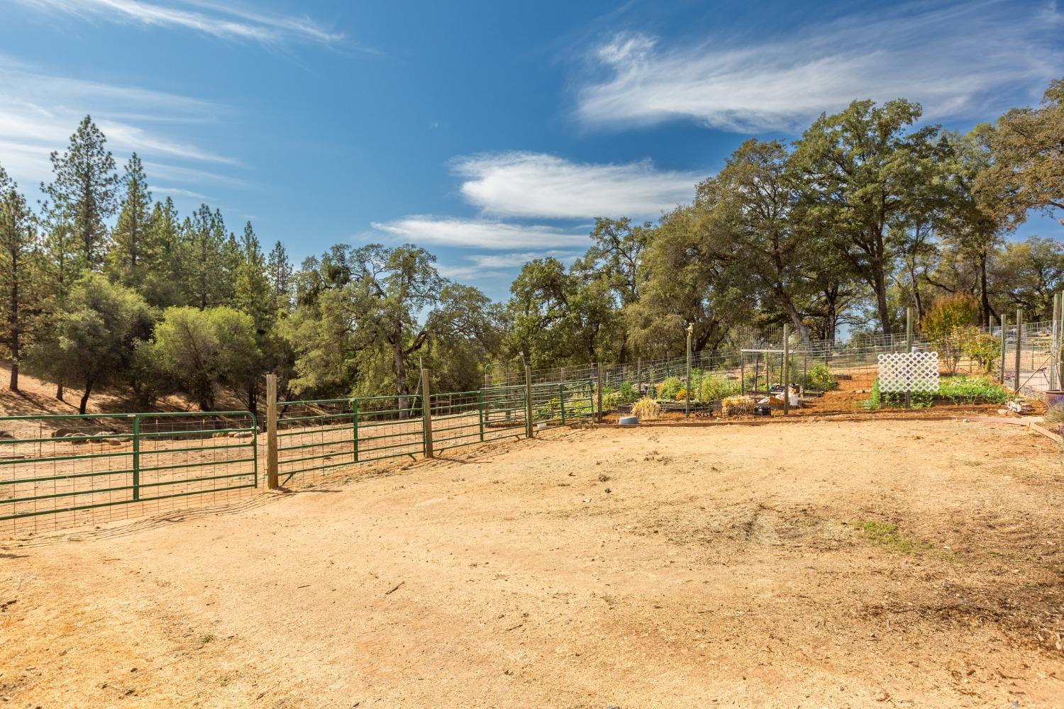 Detail Gallery Image 35 of 66 For 2701 Mesquite Ct, El Dorado,  CA 95623 - 4 Beds | 2/1 Baths