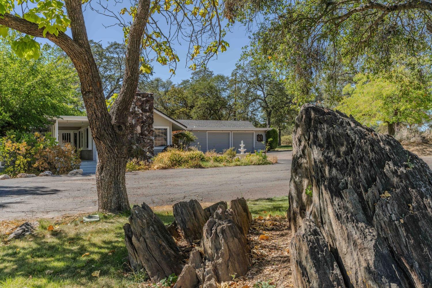 Detail Gallery Image 69 of 93 For 769 Dogtown Rd, Angels Camp,  CA 95222 - 4 Beds | 4 Baths