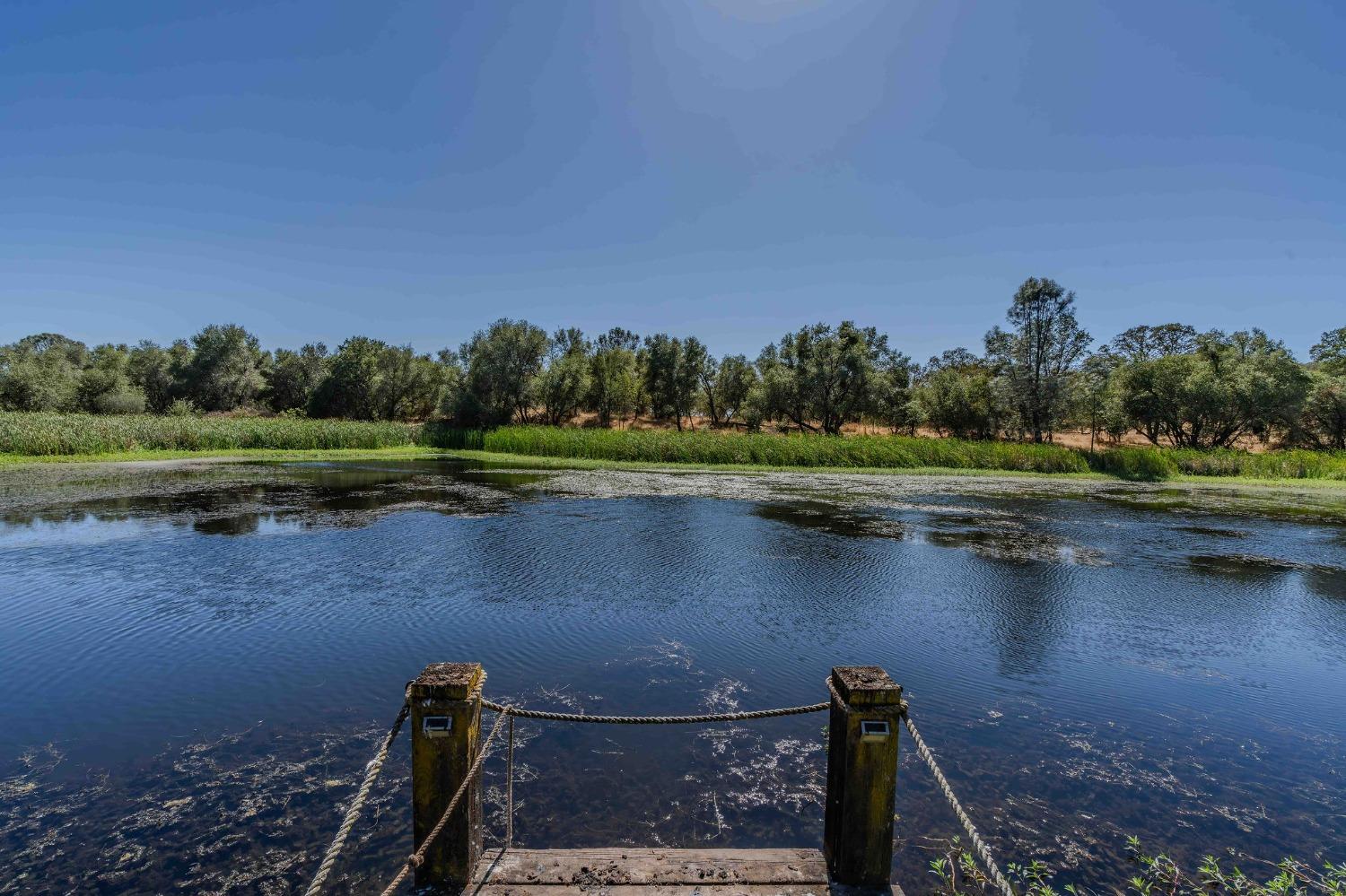 Detail Gallery Image 48 of 93 For 769 Dogtown Rd, Angels Camp,  CA 95222 - 4 Beds | 4 Baths