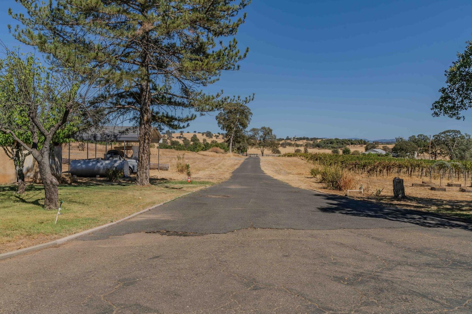 Detail Gallery Image 80 of 93 For 769 Dogtown Rd, Angels Camp,  CA 95222 - 4 Beds | 4 Baths