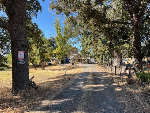 Murphys Grade Road, Angels Camp, California image 7