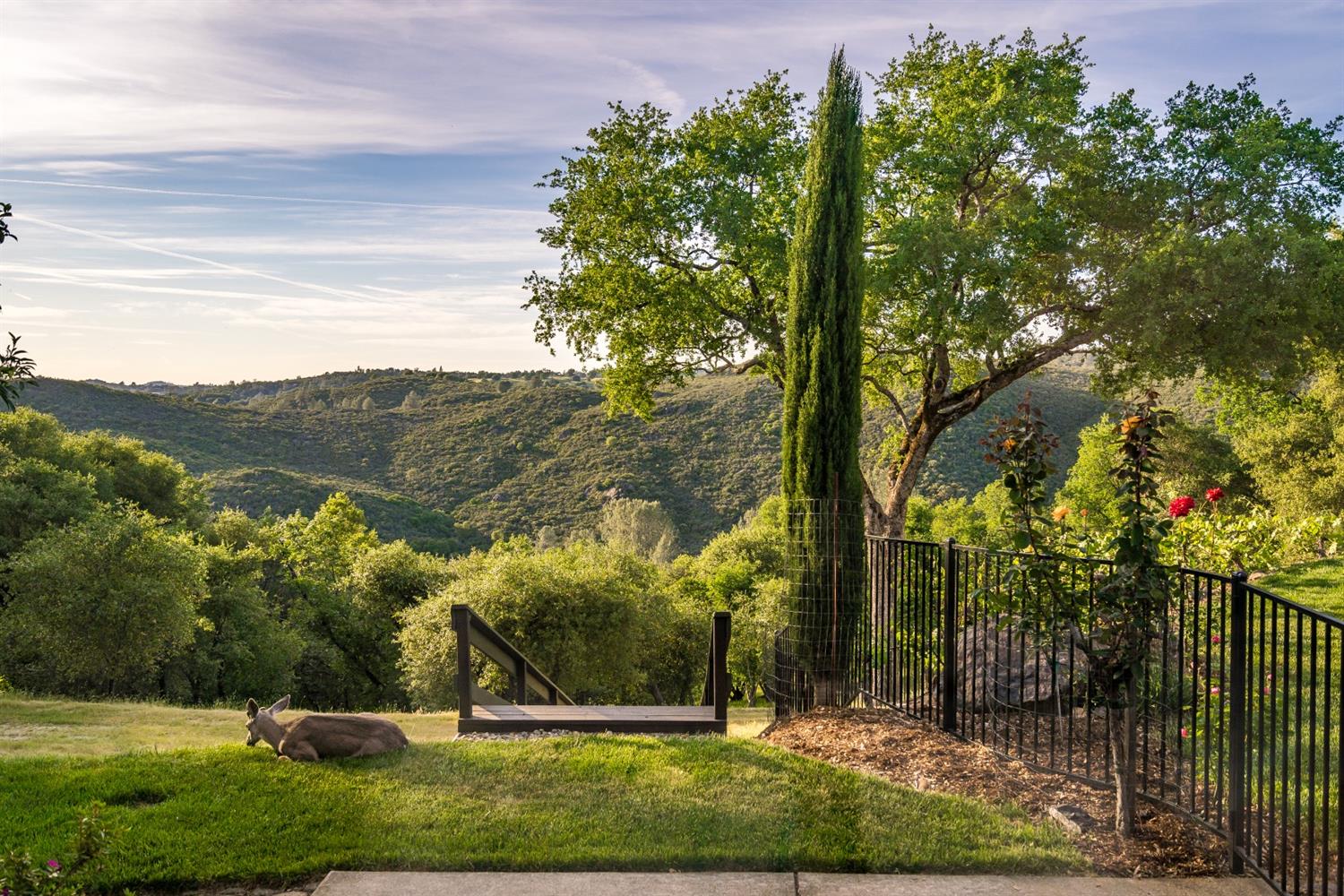 Detail Gallery Image 19 of 58 For 1815 Woodsman Ct, Placerville,  CA 95667 - 4 Beds | 4/1 Baths