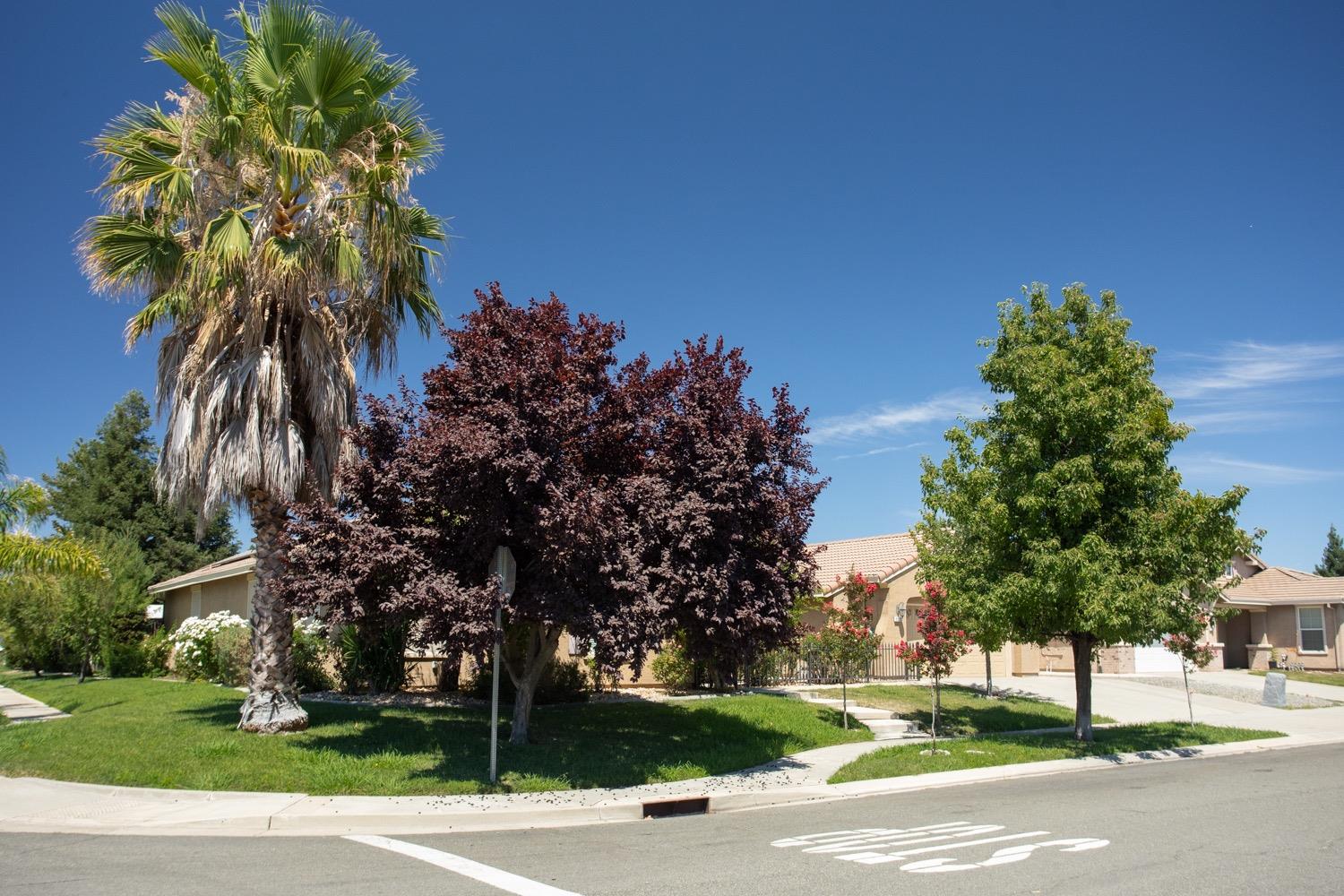 Detail Gallery Image 74 of 76 For 1225 Calypso Ranch Dr, Plumas Lake,  CA 95961 - 4 Beds | 2 Baths