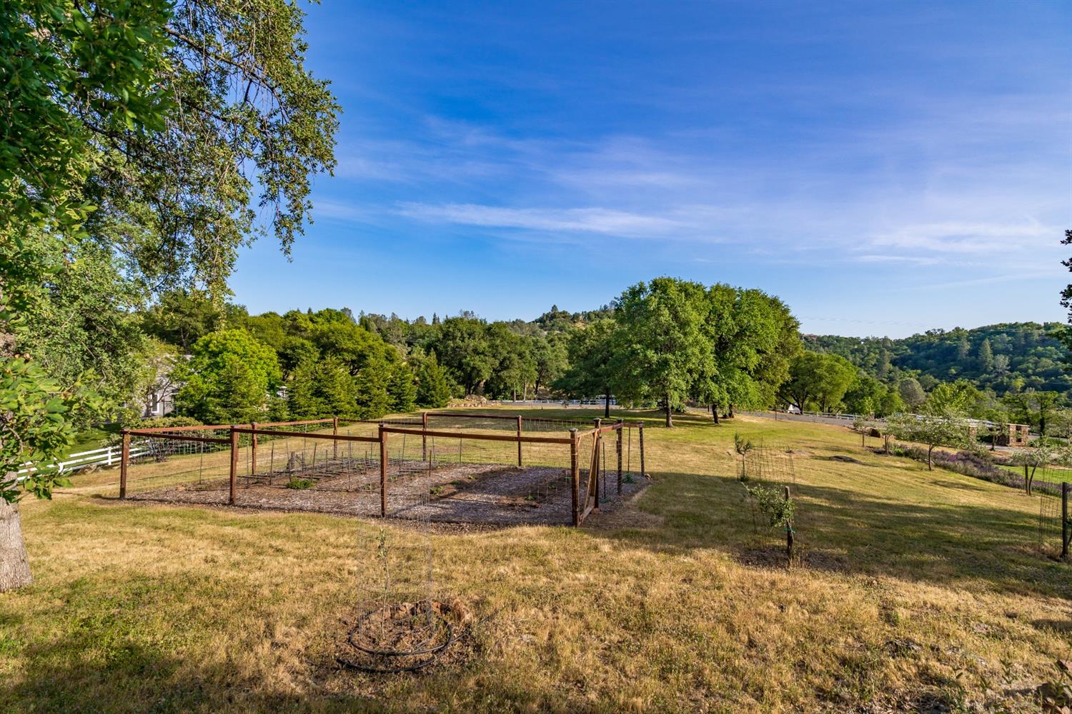 Detail Gallery Image 11 of 58 For 1815 Woodsman Ct, Placerville,  CA 95667 - 4 Beds | 4/1 Baths