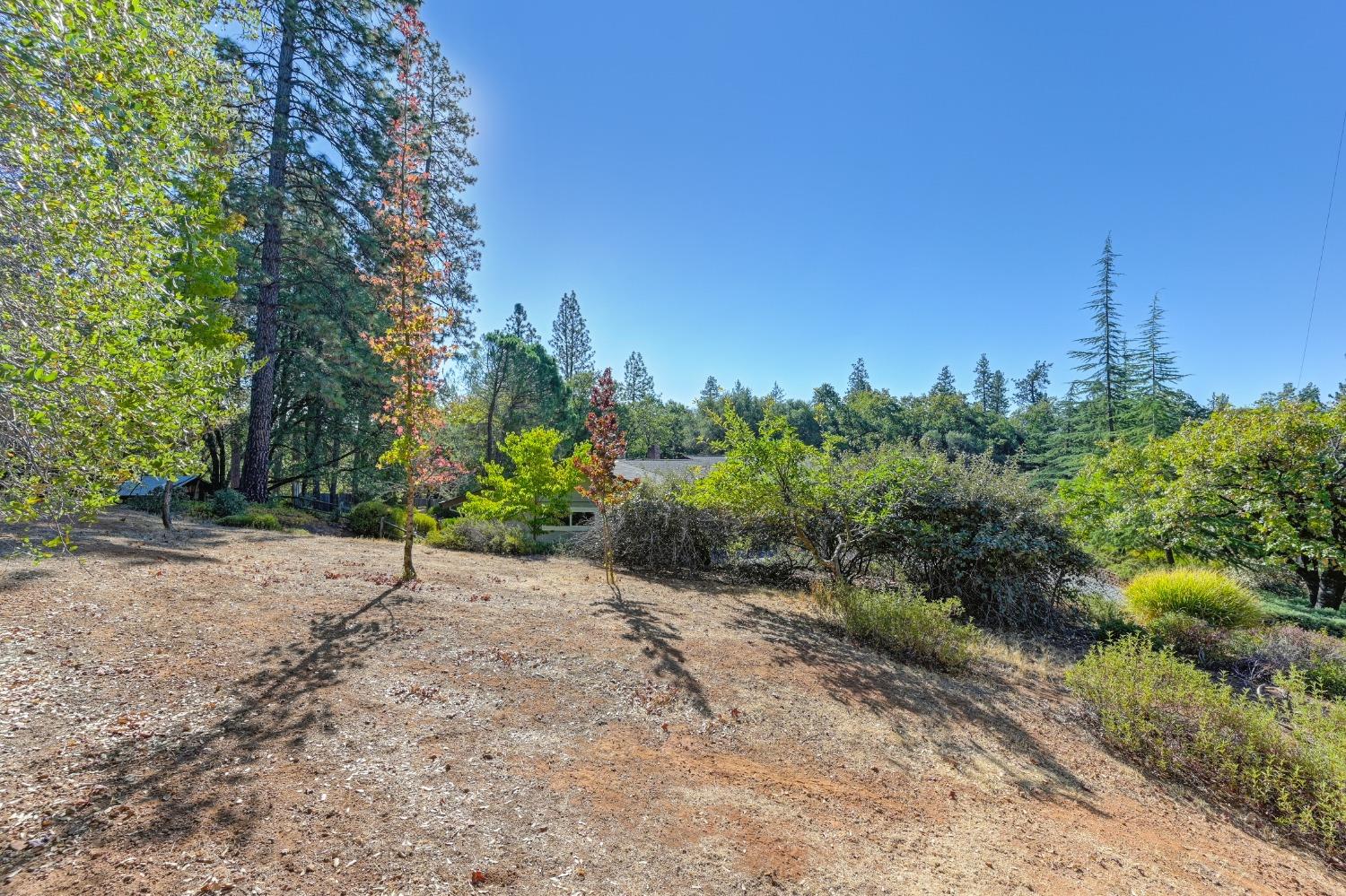 Meadow Oaks Drive, Auburn, California image 42