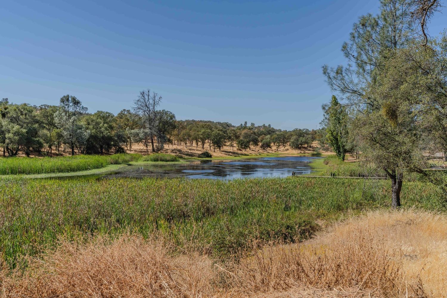 Detail Gallery Image 93 of 93 For 769 Dogtown Rd, Angels Camp,  CA 95222 - 4 Beds | 4 Baths