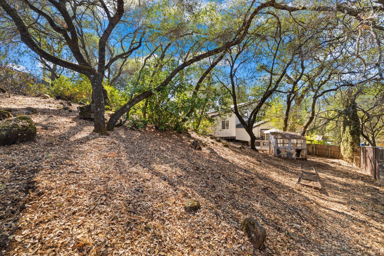 Detail Gallery Image 42 of 46 For 3375 Braniff Ct, Cameron Park,  CA 95682 - 4 Beds | 2/1 Baths