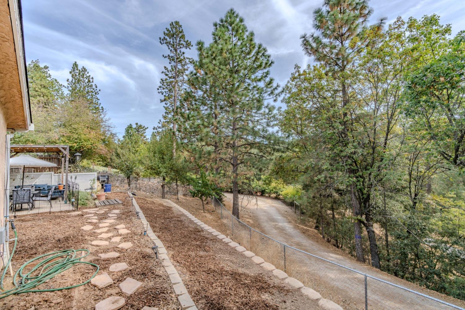 Marko Lane, Pine Grove, California image 39