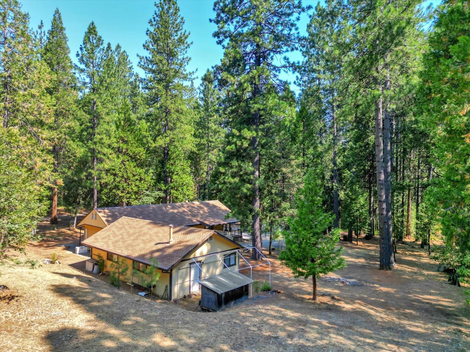 Wild Plum Lane, Nevada City, California image 47