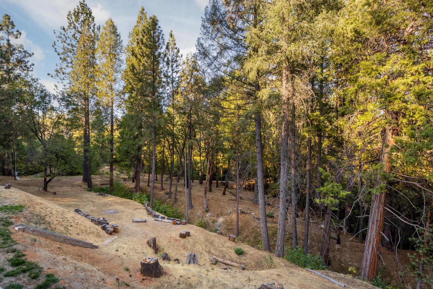 Detail Gallery Image 43 of 48 For 4036 via Sequoia Rd, Georgetown,  CA 95634 - 3 Beds | 3 Baths