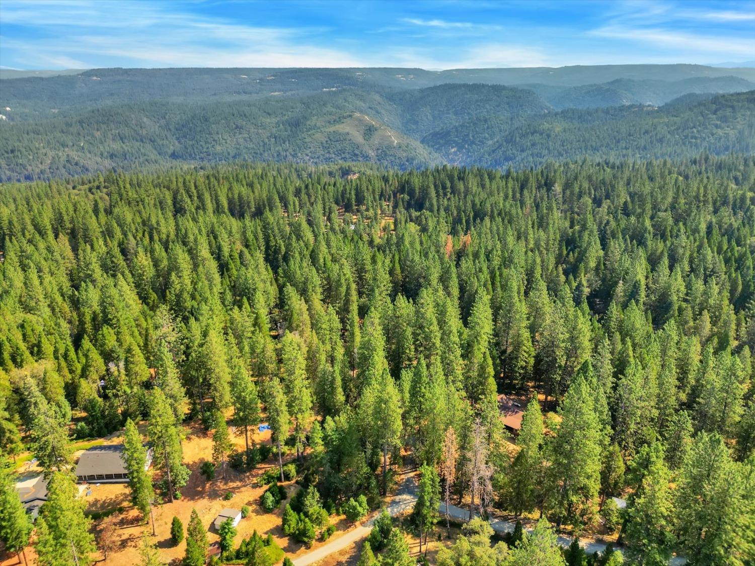 Wild Plum Lane, Nevada City, California image 45