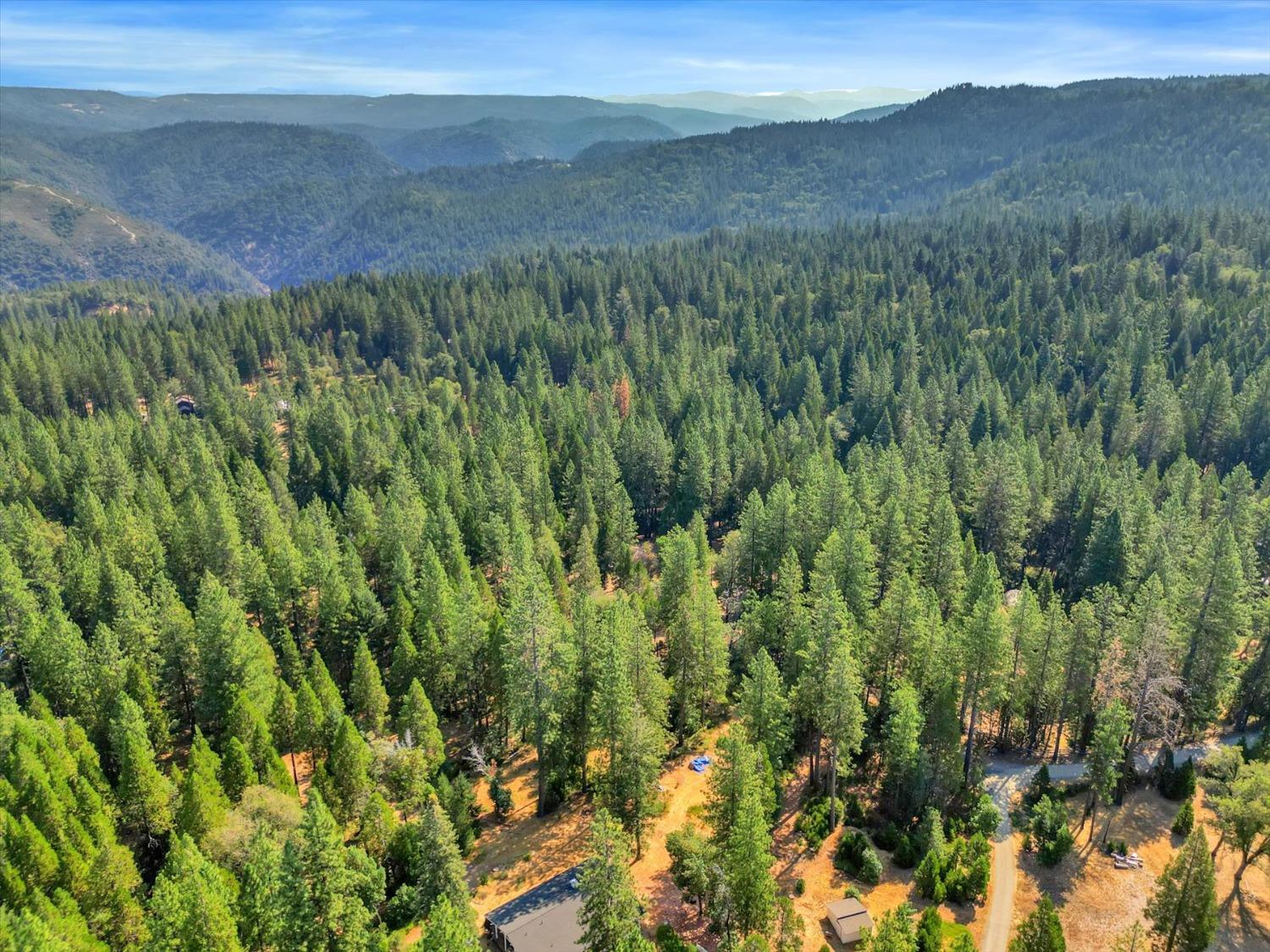 Wild Plum Lane, Nevada City, California image 44
