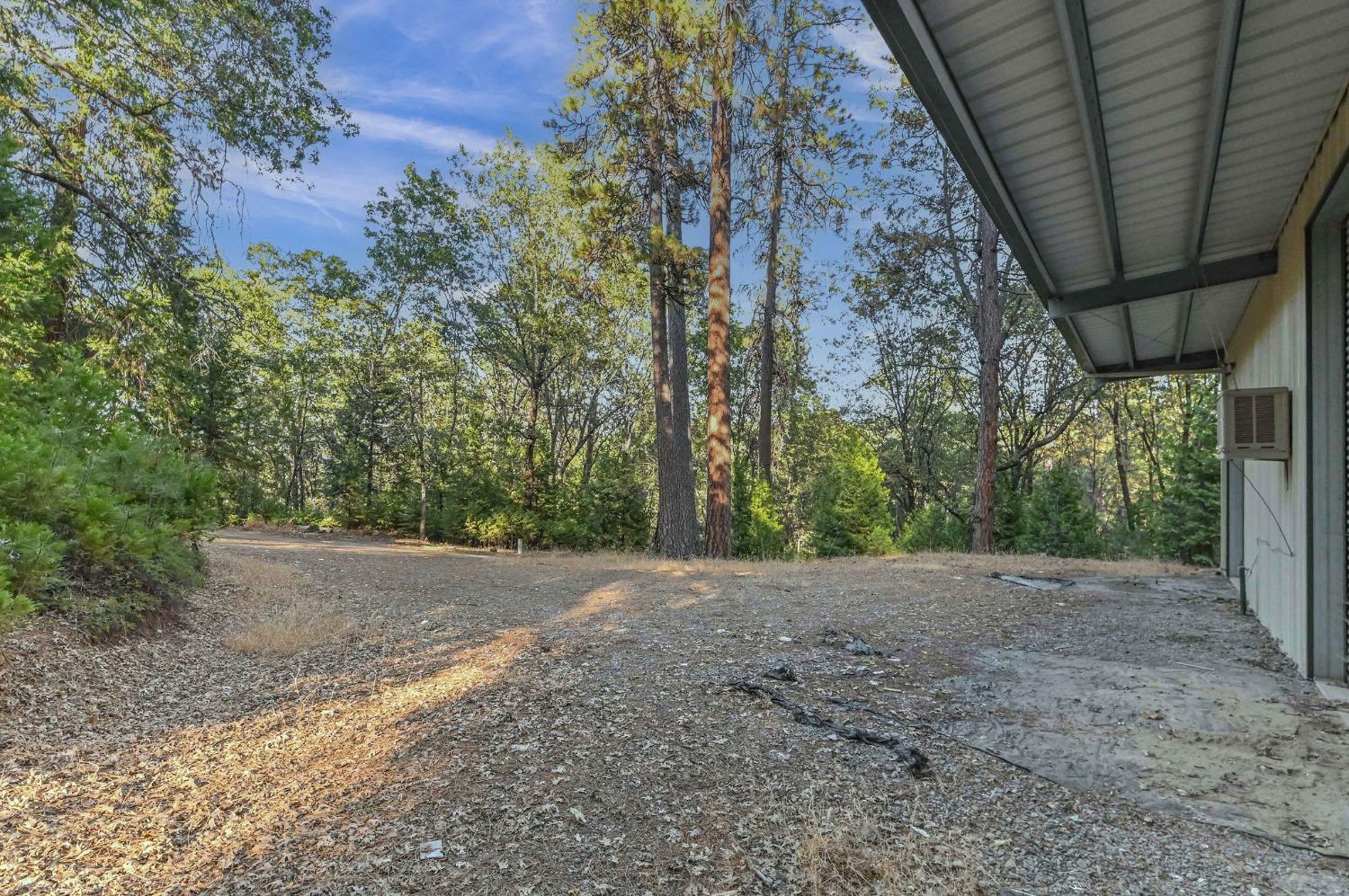 Loop Road, Glencoe, California image 12