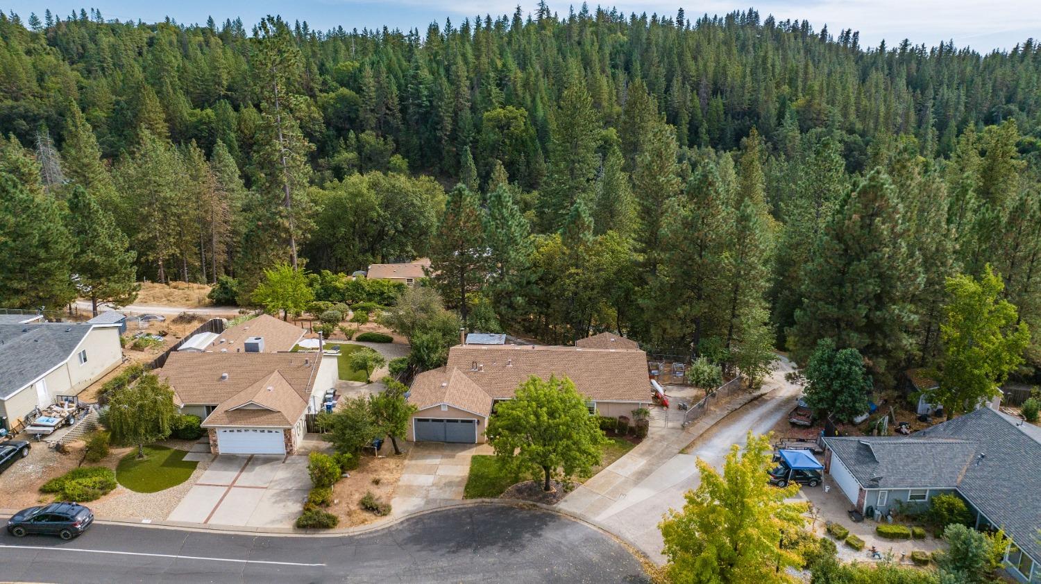 Marko Lane, Pine Grove, California image 42